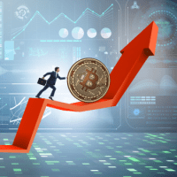 Business Legal Support